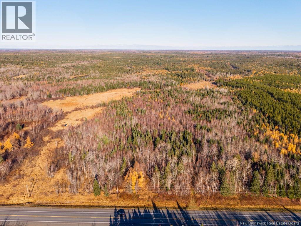 Lot- 110.9 Acres Route 11 Route, Saint Margarets, New Brunswick E1N 5C4 - Photo 1 - NB125536