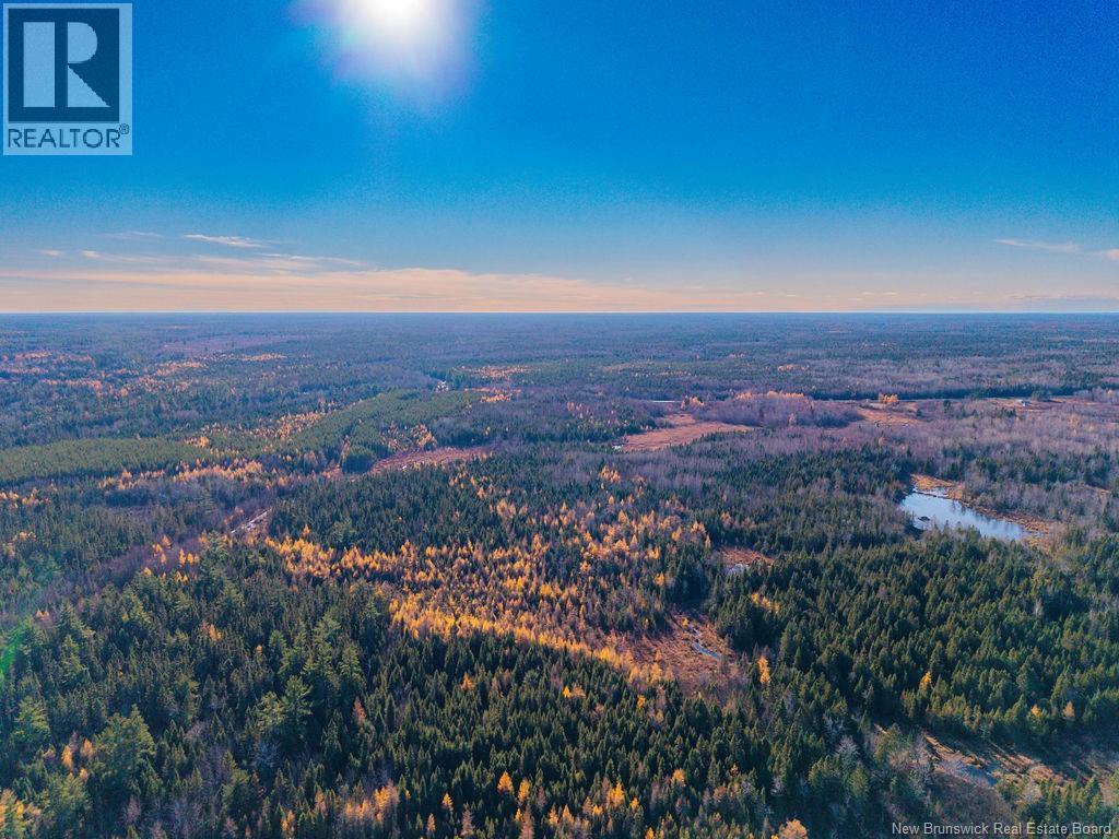 Lot- 110.9 Acres Route 11 Route, Saint Margarets, New Brunswick E1N 5C4 - Photo 10 - NB125536