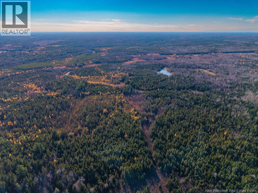 Lot- 110.9 Acres Route 11 Route, Saint Margarets, New Brunswick E1N 5C4 - Photo 12 - NB125536