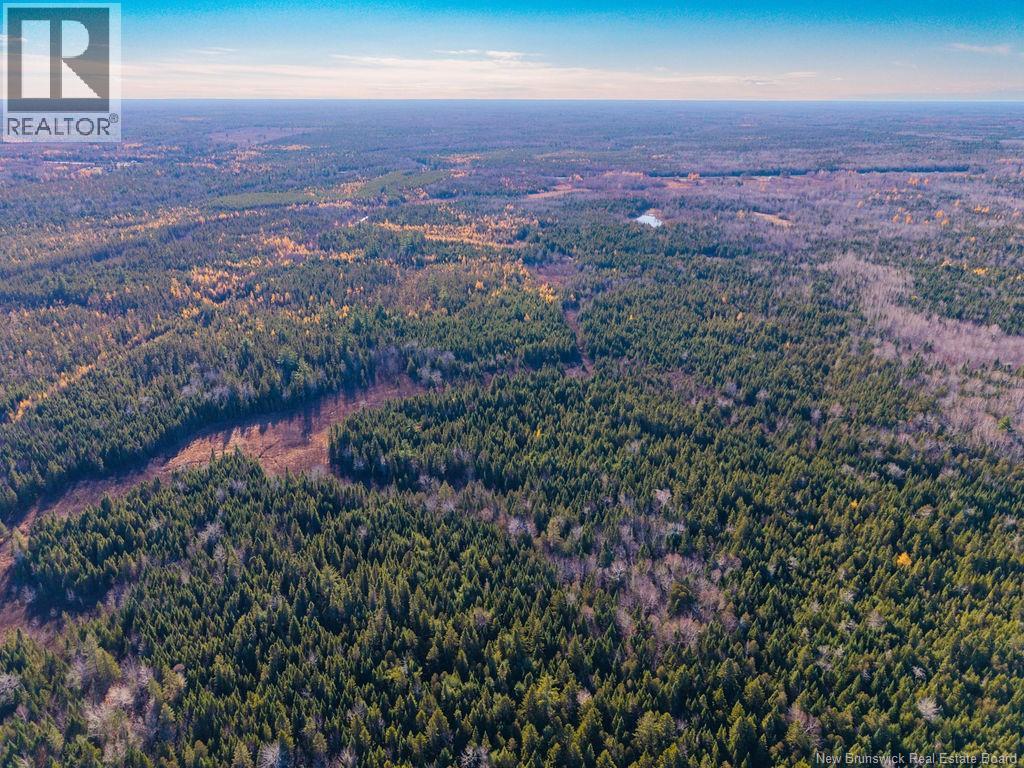 Lot- 110.9 Acres Route 11 Route, Saint Margarets, New Brunswick E1N 5C4 - Photo 13 - NB125536