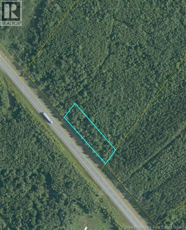 Lot- 110.9 Acres Route 11 Route, Saint Margarets, New Brunswick E1N 5C4 - Photo 16 - NB125536