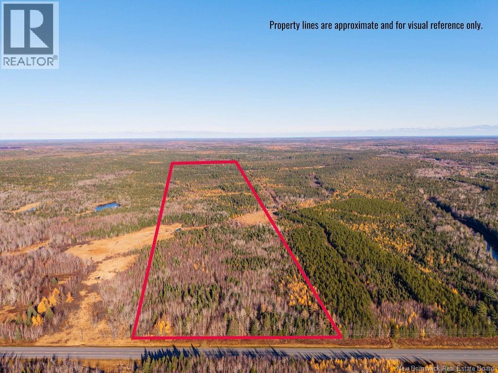 Lot- 110.9 Acres Route 11 Route, Saint Margarets, New Brunswick E1N 5C4 - Photo 2 - NB125536