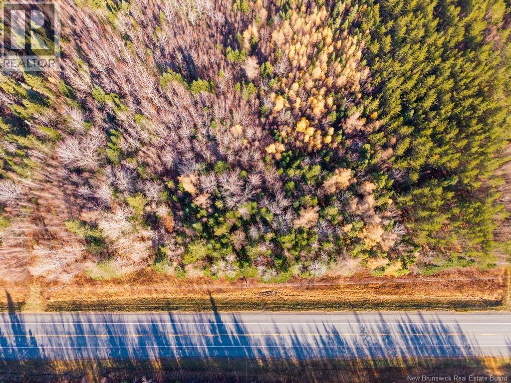 Lot- 110.9 Acres Route 11 Route, Saint Margarets, New Brunswick E1N 5C4 - Photo 4 - NB125536