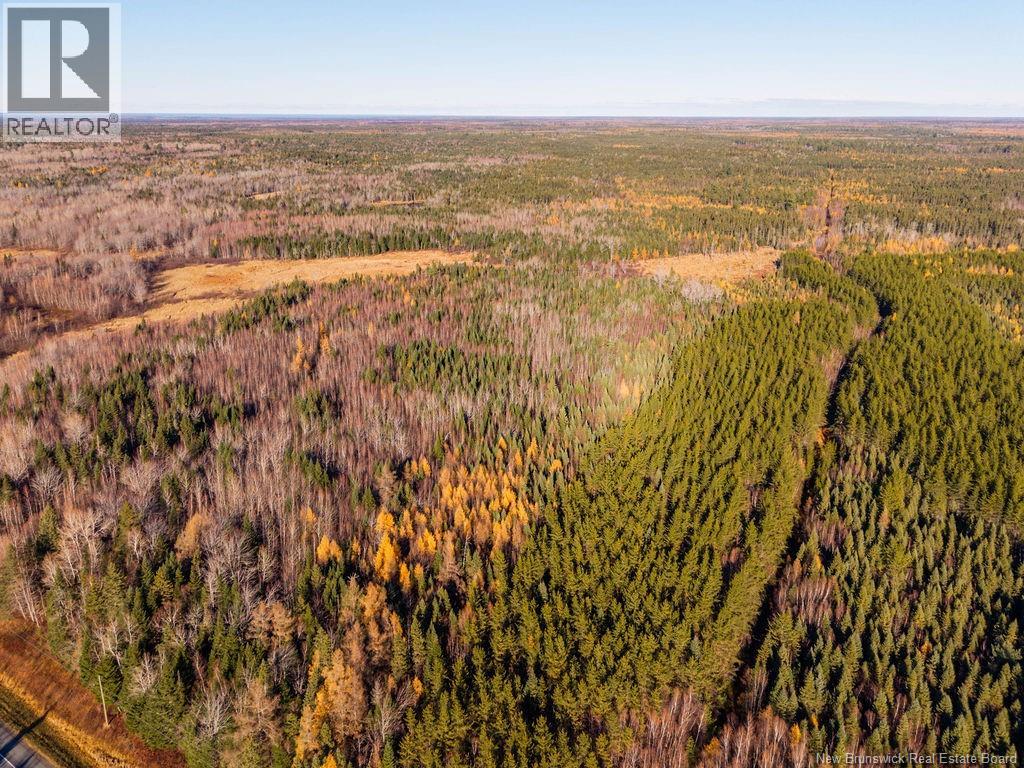 Lot- 110.9 Acres Route 11 Route, Saint Margarets, New Brunswick E1N 5C4 - Photo 5 - NB125536
