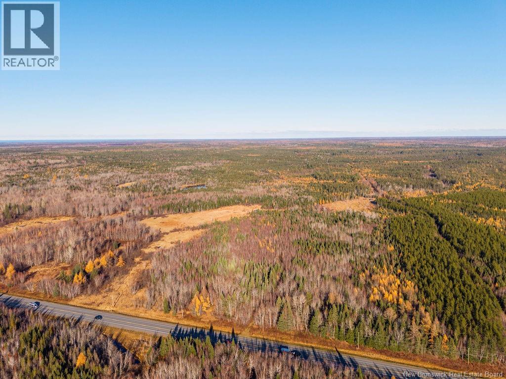 Lot- 110.9 Acres Route 11 Route, Saint Margarets, New Brunswick E1N 5C4 - Photo 6 - NB125536