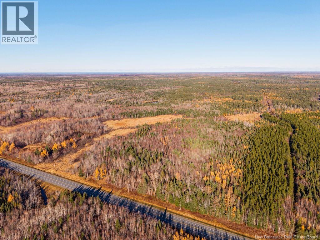 Lot- 110.9 Acres Route 11 Route, Saint Margarets, New Brunswick E1N 5C4 - Photo 7 - NB125536