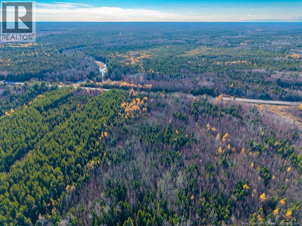Lot- 110.9 Acres Route 11 Route, Saint Margarets, New Brunswick E1N 5C4 - Photo 8 - NB125536