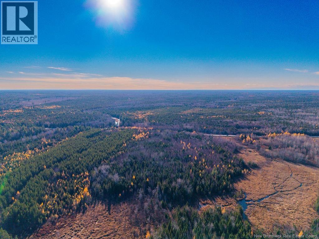 Lot- 110.9 Acres Route 11 Route, Saint Margarets, New Brunswick E1N 5C4 - Photo 9 - NB125536