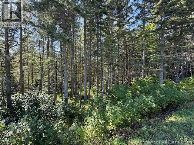 Lot Leblanc Road, Dundee, New Brunswick  E8E 1W4 - Photo 1 - NB126069