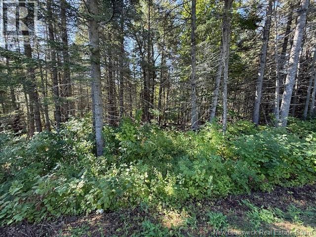 Lot Leblanc Road, Dundee, New Brunswick  E8E 1W4 - Photo 2 - NB126069
