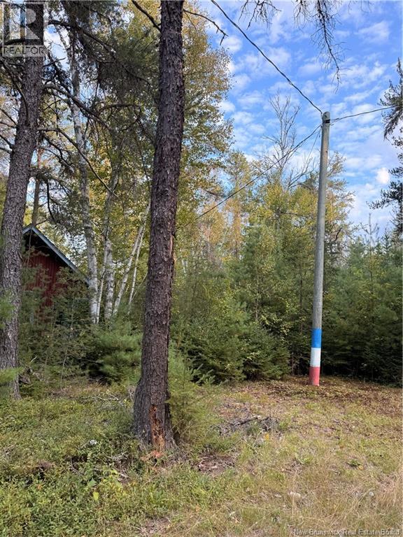 Camp L'eglise Road, Saint-Norbert, New Brunswick  E4S 2N2 - Photo 5 - NB126148