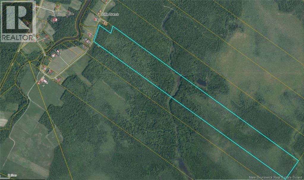Lot 1 Little Branch Road, Black River-Hardwicke, New Brunswick  E1N 5K3 - Photo 2 - NB126092