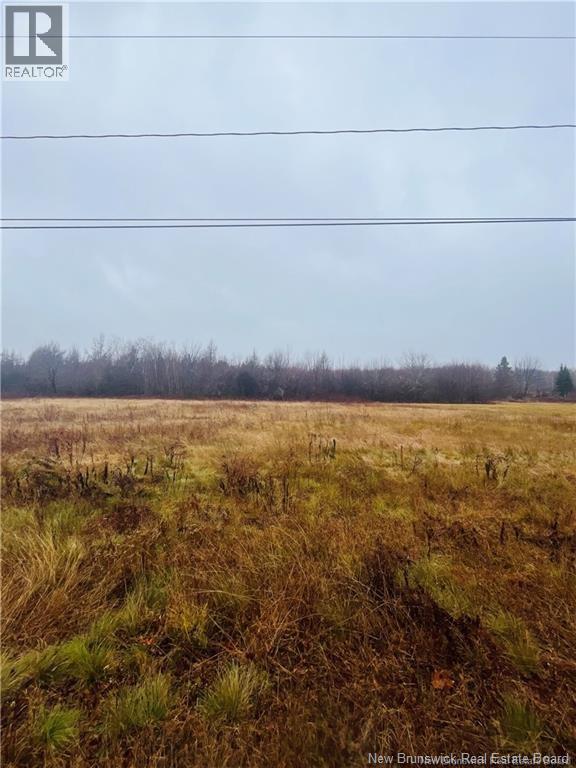 Route 118, Mckinleyville, New Brunswick  E9E 2G8 - Photo 5 - NB126281