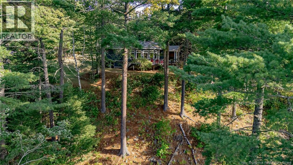 161 Storeytown Road, Doaktown, New Brunswick  E9C 1S3 - Photo 38 - NB126251