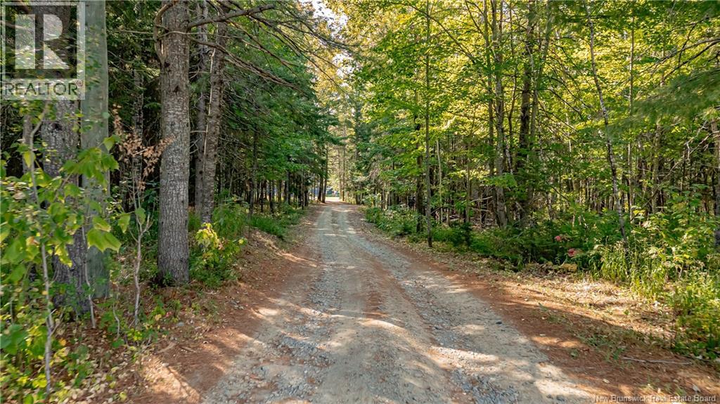161 Storeytown Road, Doaktown, New Brunswick  E9C 1S3 - Photo 45 - NB126251