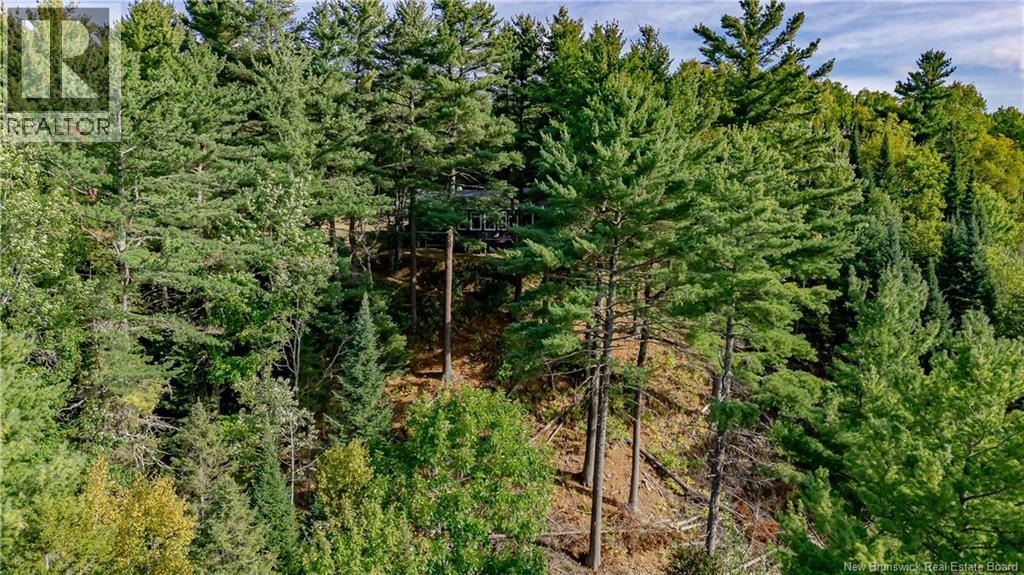 161 Storeytown Road, Doaktown, New Brunswick  E9C 1S3 - Photo 46 - NB126251