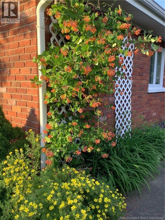 845 O'neil Avenue, Bathurst, New Brunswick E2A 2L2 - Photo 42 - NB125996