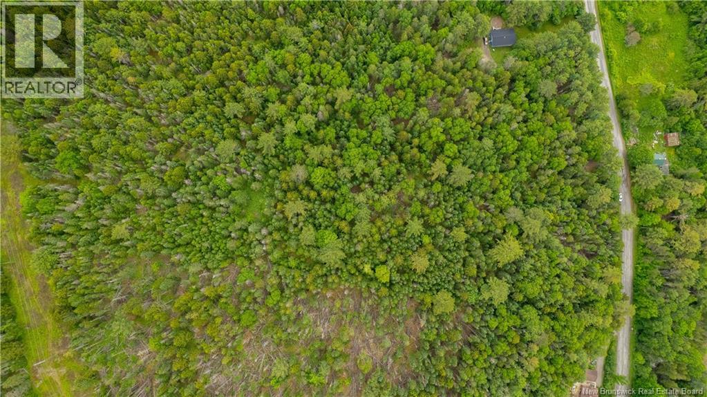 172 Lily Hill Road, Oak Bay, New Brunswick  E3L 4E6 - Photo 15 - NB126293