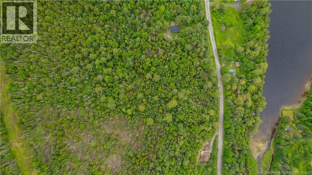 172 Lily Hill Road, Oak Bay, New Brunswick  E3L 4E6 - Photo 16 - NB126293