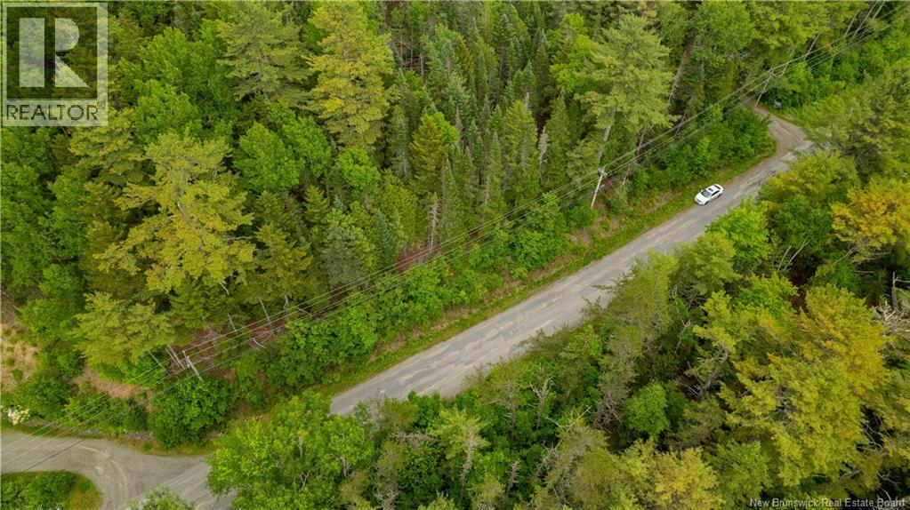 172 Lily Hill Road, Oak Bay, New Brunswick  E3L 4E6 - Photo 17 - NB126293