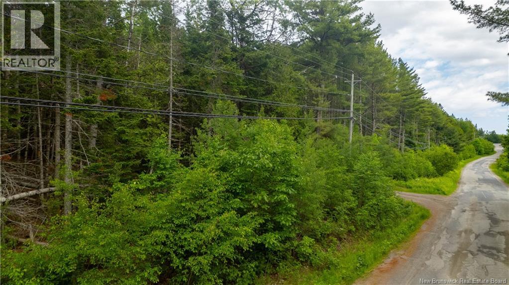 172 Lily Hill Road, Oak Bay, New Brunswick  E3L 4E6 - Photo 2 - NB126293