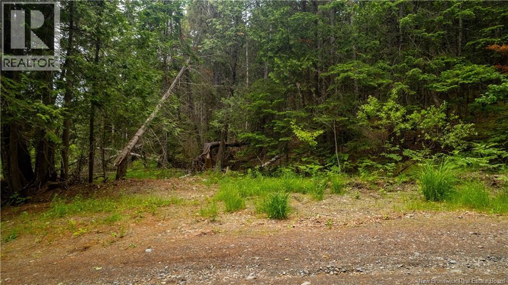 172 Lily Hill Road, Oak Bay, New Brunswick  E3L 4E6 - Photo 20 - NB126293