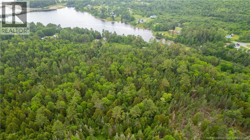 172 Lily Hill Road, Oak Bay, New Brunswick  E3L 4E6 - Photo 3 - NB126293