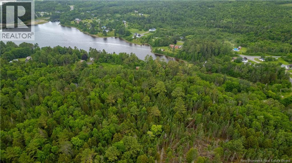 172 Lily Hill Road, Oak Bay, New Brunswick  E3L 4E6 - Photo 7 - NB126293