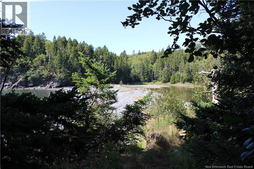 86-81 Owen Court, Campobello Island, New Brunswick  E5E 1Z6 - Photo 12 - NB126381