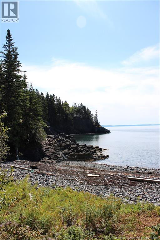 86-81 Owen Court, Campobello Island, New Brunswick  E5E 1Z6 - Photo 13 - NB126381