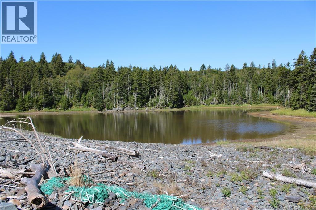 86-81 Owen Court, Campobello Island, New Brunswick  E5E 1Z6 - Photo 17 - NB126381