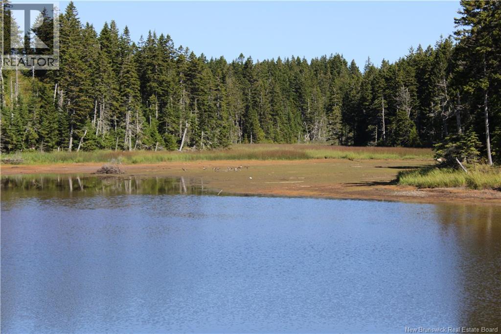 86-81 Owen Court, Campobello Island, New Brunswick  E5E 1Z6 - Photo 18 - NB126381