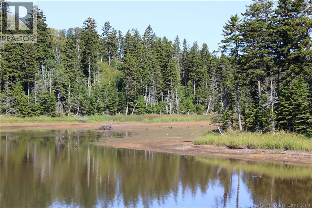 86-81 Owen Court, Campobello Island, New Brunswick  E5E 1Z6 - Photo 19 - NB126381