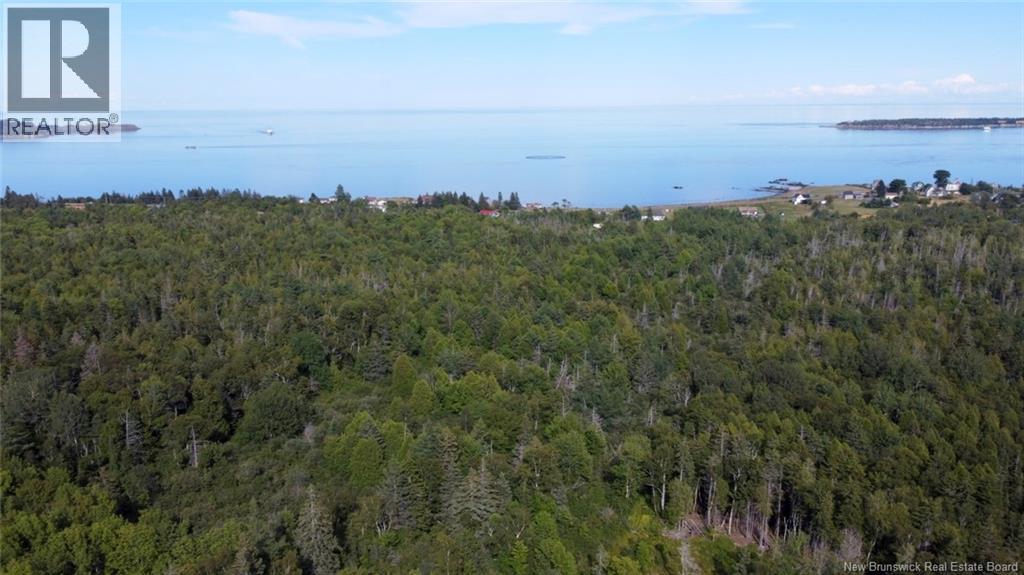 Bayview Heights, Grand Manan, New Brunswick  E5G 1C1 - Photo 5 - NB126387