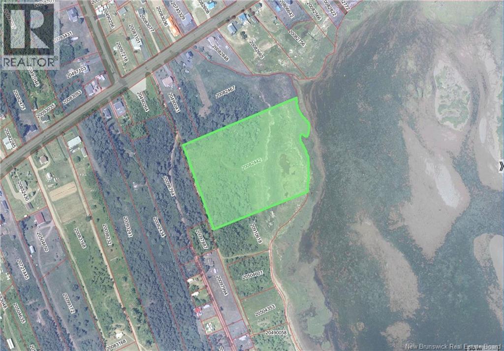 Lot Olivier Road, Maisonnette, New Brunswick  E8N 2A2 - Photo 16 - NB126481