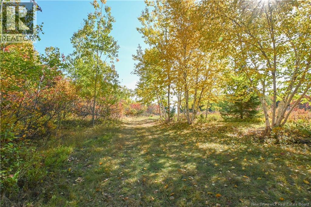 Lot Olivier Road, Maisonnette, New Brunswick  E8N 2A2 - Photo 17 - NB126481