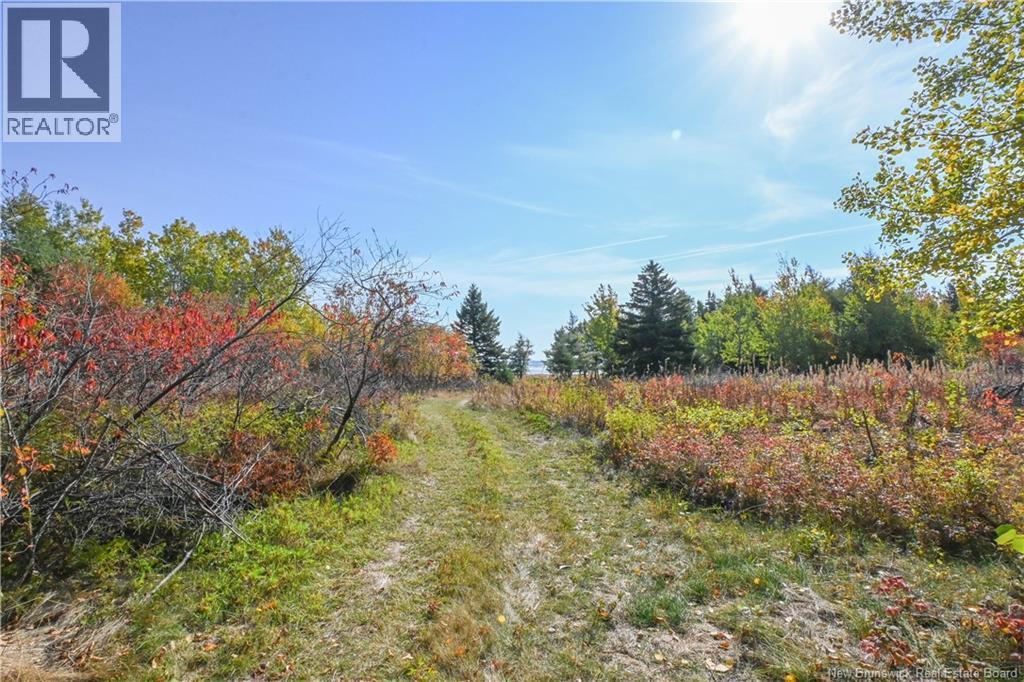 Lot Olivier Road, Maisonnette, New Brunswick  E8N 2A2 - Photo 18 - NB126481