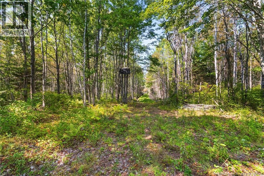 6664 Route 10, Upper Salmon Creek, New Brunswick  E4A 1H9 - Photo 44 - NB126317