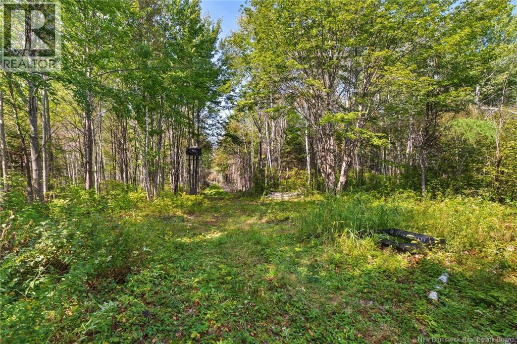 6664 Route 10, Upper Salmon Creek, New Brunswick  E4A 1H9 - Photo 45 - NB126317
