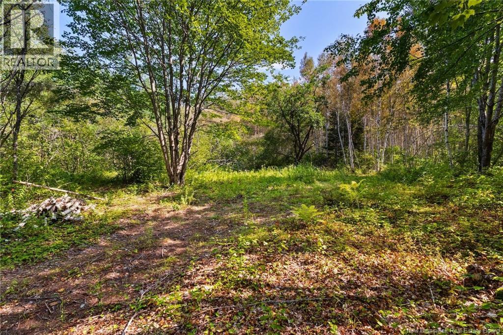 6664 Route 10, Upper Salmon Creek, New Brunswick  E4A 1H9 - Photo 46 - NB126317