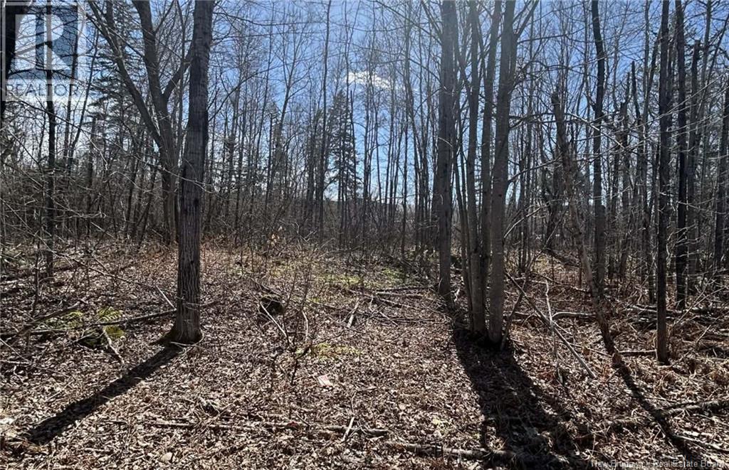 Lot Dr Hamilton Drive, Doaktown, New Brunswick  E9C 1A9 - Photo 3 - NB126498