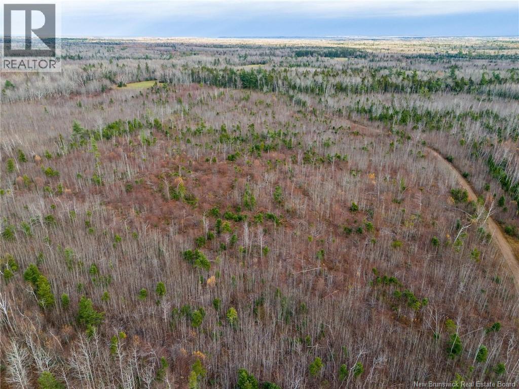 Lot Renauds Mills Road, Saint-Antoine, New Brunswick  E4V 2X7 - Photo 4 - NB126200