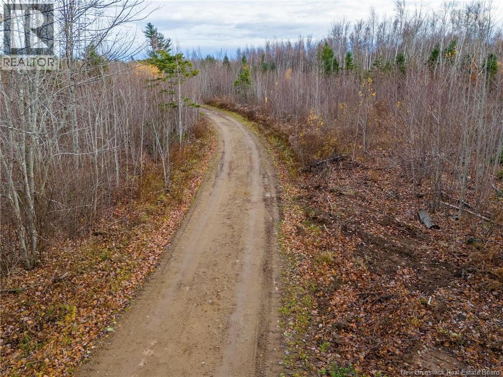 Lot Renauds Mills Road, Saint-Antoine, New Brunswick  E4V 2X7 - Photo 6 - NB126200