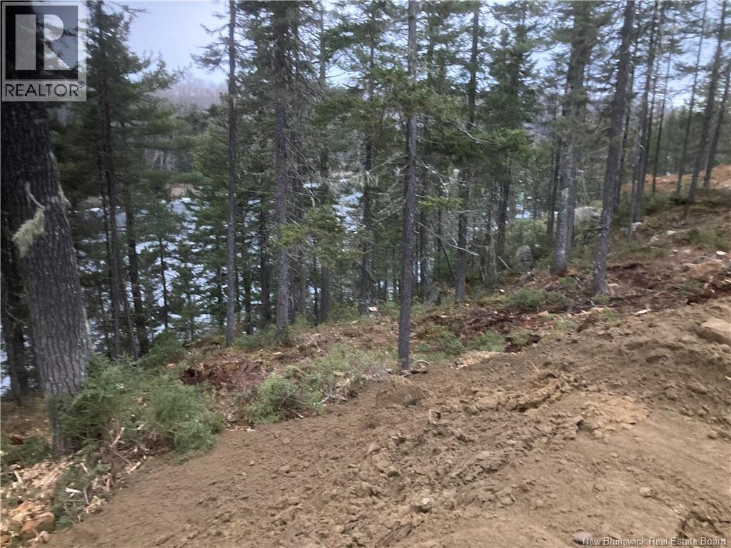 Lot 2016-9 Portage Road, Nepisiguit Falls, New Brunswick E2A 4Y7 - Photo 2 - NB126702