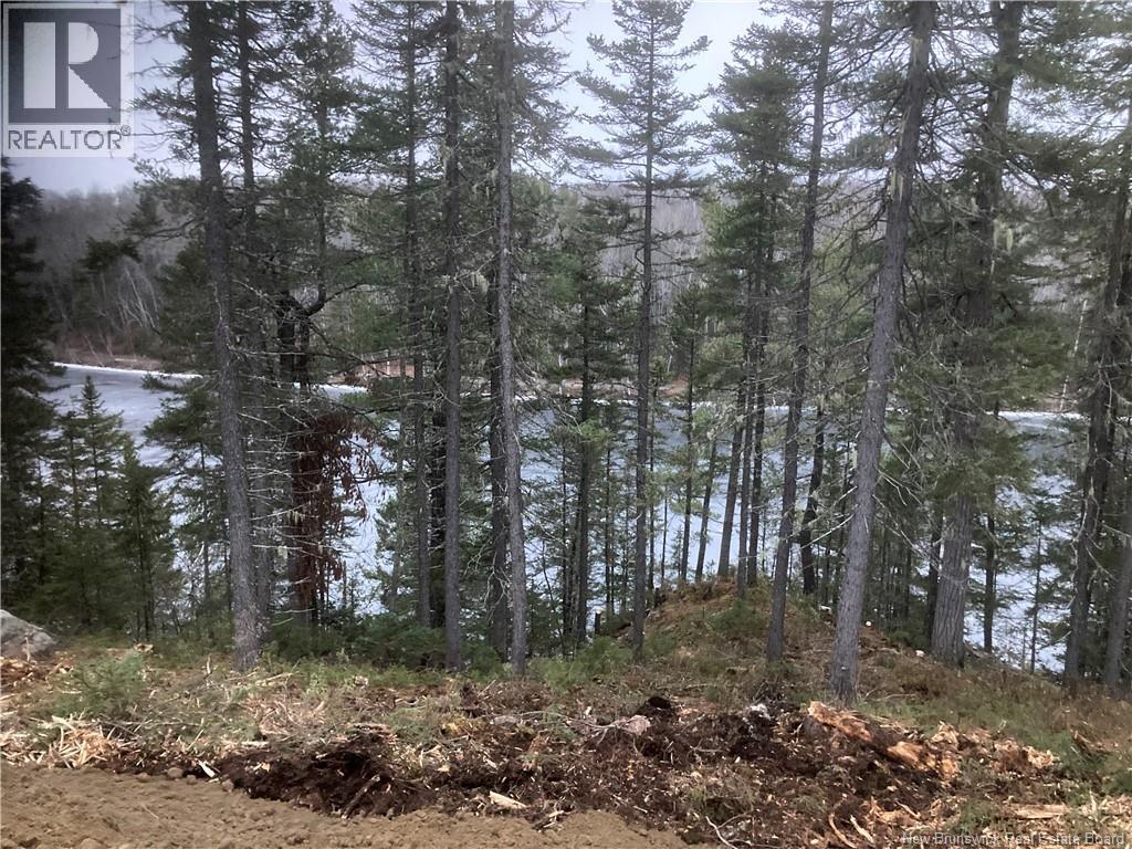 Lot 2016-9 Portage Road, Nepisiguit Falls, New Brunswick E2A 4Y7 - Photo 3 - NB126702