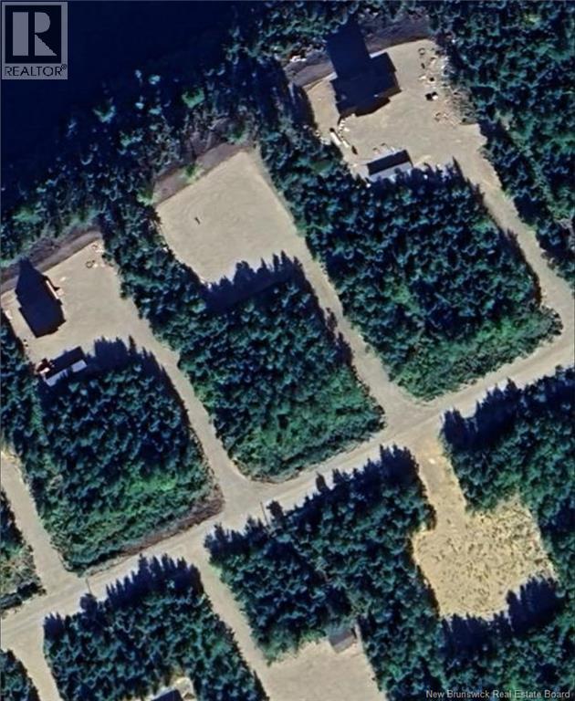 Lot 2016-9 Portage Road, Nepisiguit Falls, New Brunswick E2A 4Y7 - Photo 4 - NB126702