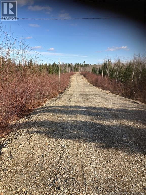 Lot 2016-9 Portage Road, Nepisiguit Falls, New Brunswick E2A 4Y7 - Photo 7 - NB126702