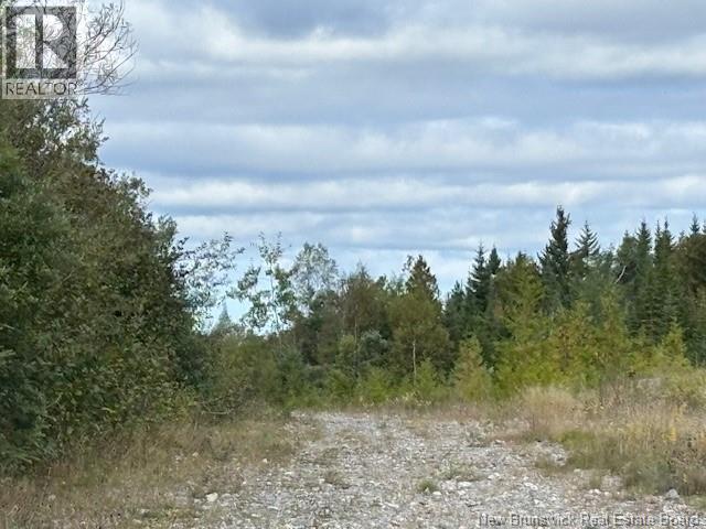 0 Latimore Lake Road, Saint John, New Brunswick  E2N 1X3 - Photo 4 - NB126714
