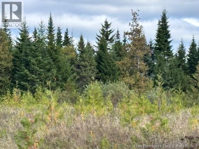 0 Latimore Lake Road, Saint John, New Brunswick  E2N 1X3 - Photo 5 - NB126714
