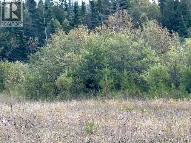 0 Latimore Lake Road, Saint John, New Brunswick  E2N 1X3 - Photo 6 - NB126714